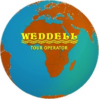 WEDDELL Tour Operator
